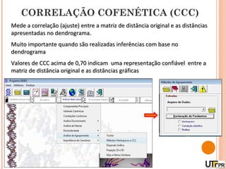 CORRELAÇÃO COFENÉTICA (CCC)
Mede a correlação (ajuste) entre a matriz de distância original e as distâncias
apresentadas no dendrograma.
Muito importante quando são realizadas inferências com base no
dendrograma
Valores de CCC acima de 0,70 indicam uma representação confiável entre a
matriz de distância original e as distâncias gráficas
 