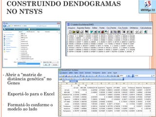 CONSTRUINDO DENDOGRAMAS
    NO NTSYS




- Abrir a “matriz de
   distância genética” no
   Genes

-   Exportá-lo para o Excel

-   Formatá-lo conforme o
    modelo ao lado
 
