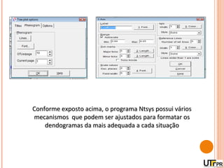 Conforme exposto acima, o programa Ntsys possui vários
mecanismos que podem ser ajustados para formatar os
    dendogramas da mais adequada a cada situação
 