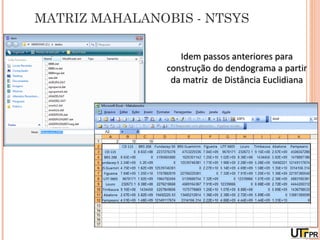 MATRIZ MAHALANOBIS - NTSYS

                   Idem passos anteriores para
                construção do dendograma a partir
                 da matriz de Distância Euclidiana
 