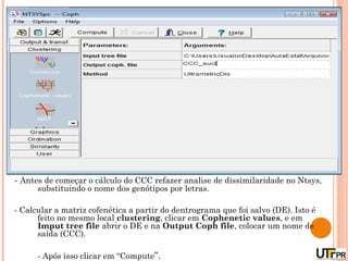 - Antes de começar o cálculo do CCC refazer analise de dissimilaridade no Ntsys,
      substituindo o nome dos genótipos por letras.

- Calcular a matriz cofenética a partir do dentrograma que foi salvo (DE). Isto é
      feito no mesmo local clustering, clicar em Cophenetic values, e em
      Imput tree file abrir o DE e na Output Coph file, colocar um nome de
      saída (CCC).

      - Após isso clicar em “Compute”.
 