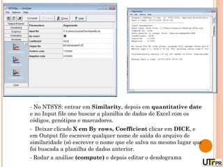 - No NTSYS: entrar em Similarity, depois em quantitative date
e no Input file one buscar a planilha de dados do Excel com os
códigos, genótipos e marcadores.
- Deixar clicado X em By rows, Coefficient clicar em DICE, e
em Output file escrever qualquer nome de saída do arquivo de
similaridade (só escrever o nome que ele salva no mesmo lugar que
foi buscada a planilha de dados anterior.
- Rodar a análise (compute) e depois editar o dendograma
 