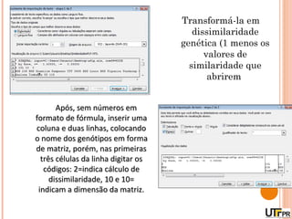 Transformá-la em
                                        dissimilaridade
                                     genética (1 menos os
                                           valores de
                                       similaridade que
                                            abrirem


       Após, sem números em
formato de fórmula, inserir uma
coluna e duas linhas, colocando
o nome dos genótipos em forma
de matriz, porém, nas primeiras
  três células da linha digitar os
   códigos: 2=indica cálculo de
     dissimilaridade, 10 e 10=
 indicam a dimensão da matriz.
 