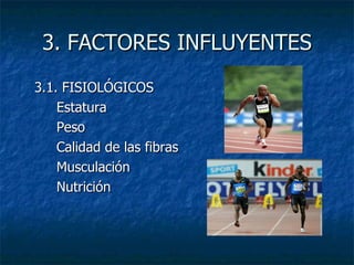 3. FACTORES INFLUYENTES 3.1. FISIOLÓGICOS Estatura Peso Calidad de las fibras Musculación Nutrición 