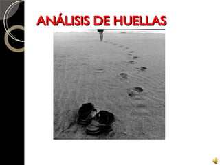 ANÁLISIS DE HUELLAS 