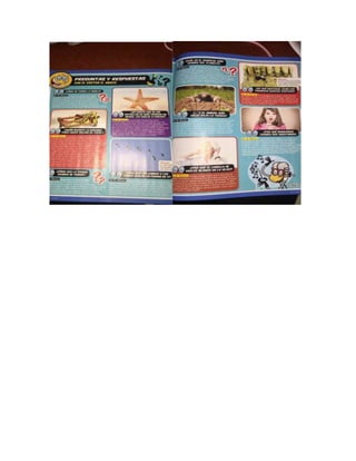 Análisis de-la-estructura-de-una-revista