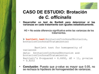CASO DE ESTUDIO: Brotación de  C. officinalis <ul><li>Desarrollar un test de Bartlett para determinar si las varianzas en ...