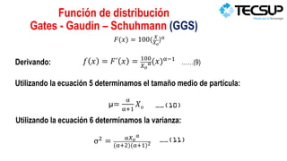 Análisis-granulométrico.pdf