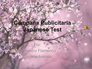 Campaña Publicitaria 
Japanese Test 
Por: 
Alejandro Flamenco 
Dayana Arévalo 
 