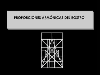 PROPORCIONES ARMÓNICAS DEL ROSTRO 