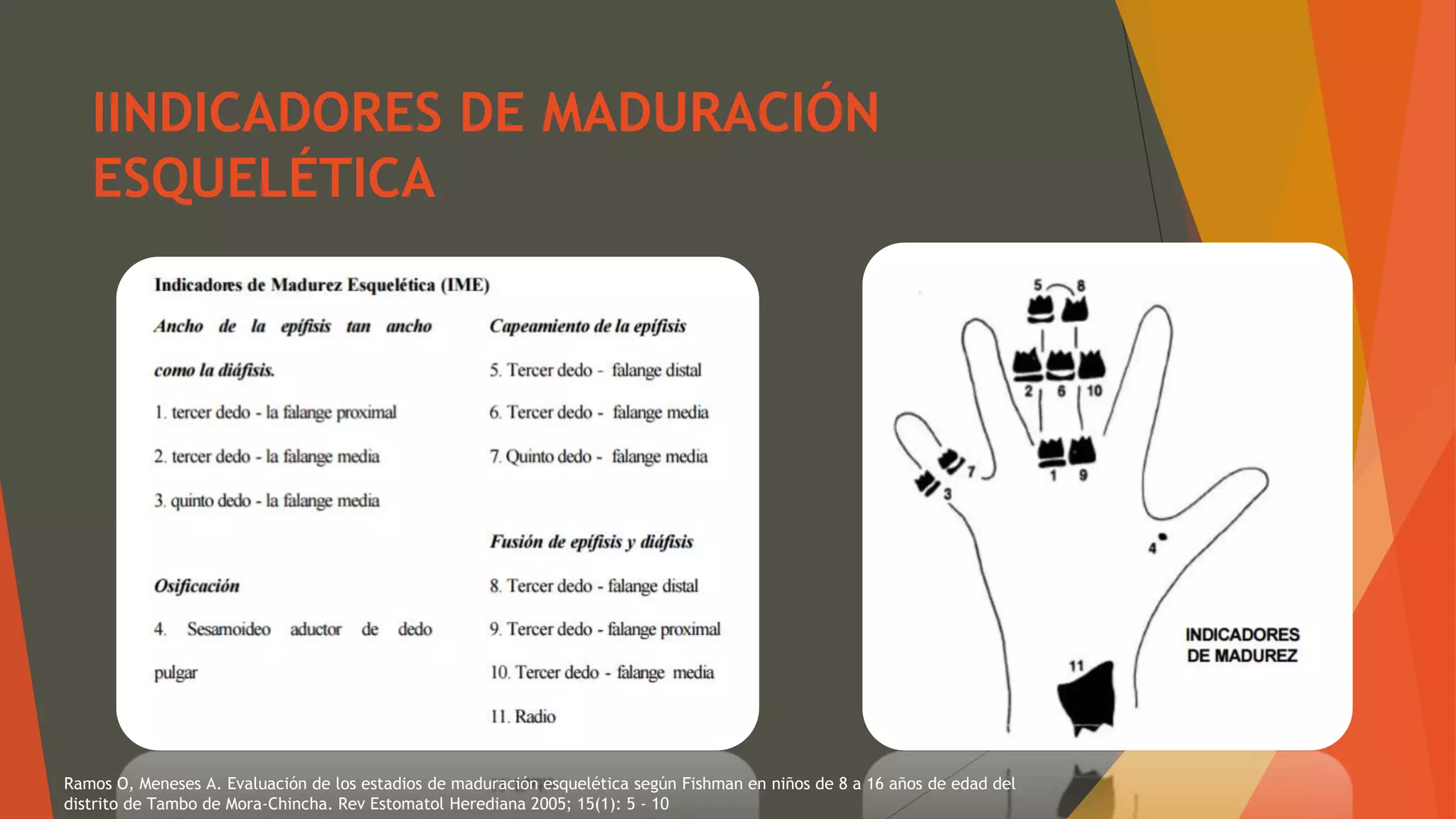 Fishman Labchart Análisis carpal de Fishman | PPTX | Bone and Joint Conditions ...