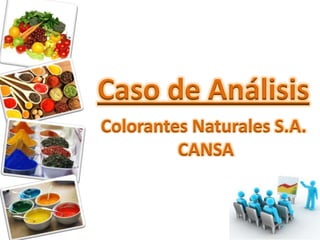 Caso de Análisis
Colorantes Naturales S.A.
CANSA
 