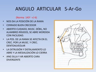 (Norma 143o +/-6)
• NOS DA LA POSICIÓN DE LA RAMA
• CERRADO BUEN CRECEDOR
• ABIERTO CUIDADO, MUSC. DÉBIL, NO
ALAMBRES RÍGIDOS, SE ABRE MORDIDA
CON FACILIDAD.
• LA POS. DE LA RAMA SE AFECTA EN EL
CREC. POR LA MUSC. Y CREC.
DENTOALVEOLAR
• LA EXTRUSIÓN Y DISTALAMIENTO LO
ABRE Y LA MESIALIZACIÓN LO CIERRA
• ANG SILLA Y AR ABIERTO CARA
DIVERGENTE
ANGULO ARTICULAR S-Ar-Go
 