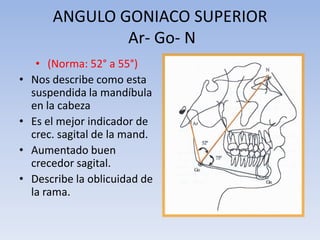 ANGULO GONIACO SUPERIOR
Ar- Go- N
• (Norma: 52° a 55°)
• Nos describe como esta
suspendida la mandíbula
en la cabeza
• Es el mejor indicador de
crec. sagital de la mand.
• Aumentado buen
crecedor sagital.
• Describe la oblicuidad de
la rama.
 
