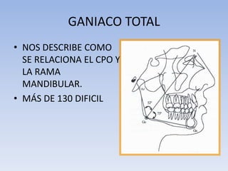GANIACO TOTAL
• NOS DESCRIBE COMO
SE RELACIONA EL CPO Y
LA RAMA
MANDIBULAR.
• MÁS DE 130 DIFICIL
 