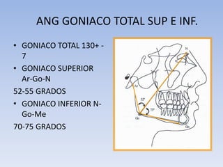 ANG GONIACO TOTAL SUP E INF.
• GONIACO TOTAL 130+ -
7
• GONIACO SUPERIOR
Ar-Go-N
52-55 GRADOS
• GONIACO INFERIOR N-
Go-Me
70-75 GRADOS
 