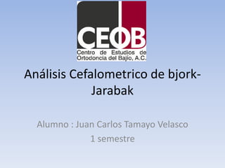 Análisis Cefalometrico de bjork-
Jarabak
Alumno : Juan Carlos Tamayo Velasco
1 semestre
 