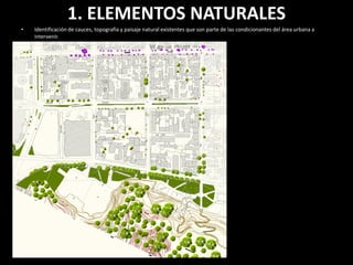 1. ELEMENTOS NATURALES
•   Identificación de cauces, topografía y paisaje natural existentes que son parte de las condicionantes del área urbana a
    intervenir.
 