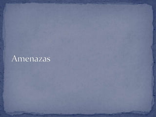 Amenazas