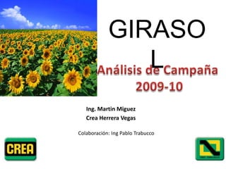 GIRASOL Análisis de Campaña  2009-10  Ing. Martin Miguez Crea Herrera Vegas Colaboración: Ing Pablo Trabucco 