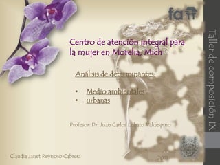 Centro de atención integral para la mujer en Morelia, Mich Análisis de determinantes: ,[object Object]