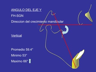 ANGULO DEL EJE Y FH-SGN Direccion del crecimiento mandibular Promedio 59.4° Minimo 53° Maximo 66° Vertical 