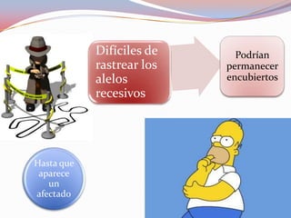 Podrían
permanecer
encubiertos
Difíciles de
rastrear los
alelos
recesivos
Hasta que
aparece
un
afectado
 