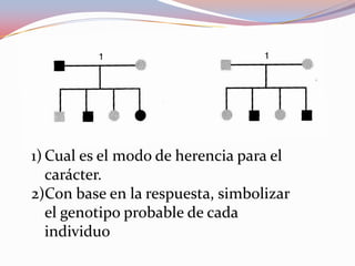 1) Cual es el modo de herencia para el
carácter.
2)Con base en la respuesta, simbolizar
el genotipo probable de cada
individuo
 