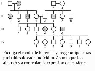 Prediga el modo de herencia y los genotipos más
probables de cada individuo. Asuma que los
alelos A y a controlan la expresión del carácter.
 