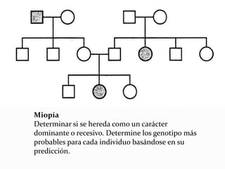 Miopía
Determinar si se hereda como un carácter
dominante o recesivo. Determine los genotipo más
probables para cada individuo basándose en su
predicción.
 