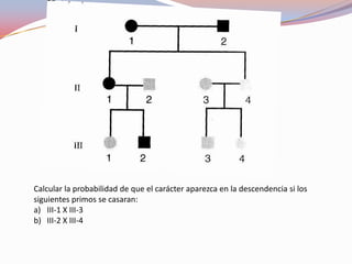 Calcular la probabilidad de que el carácter aparezca en la descendencia si los
siguientes primos se casaran:
a) III-1 X III-3
b) III-2 X III-4
 