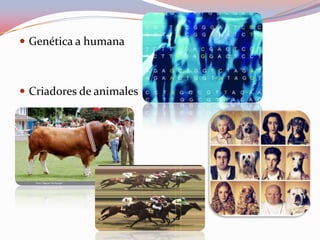  Genética a humana
 Criadores de animales
 