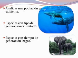  Analizar una población ya
existente.
 Especies con tipo de
generaciones limitado.
 Especies con tiempo de
generación largos.
 