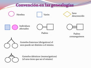 Hembra Varón
Sexo
desconocido
Individuos
afectados
Padres Padres
consanguíneos
Gemelos fraternos (dicigoticos) el
seco puede ser distinto o el mismo.
Gemelos idénticos (monocigoticos)
(el sexo tiene que ser el mismo)
 