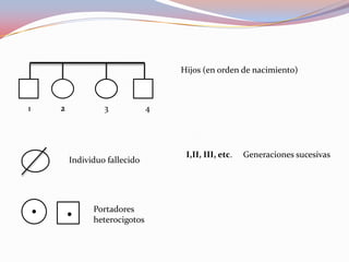 Hijos (en orden de nacimiento)
1 2 3 4
Individuo fallecido
Portadores
heterocigotos
I,II, III, etc. Generaciones sucesivas
 