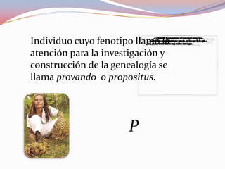 Individuo cuyo fenotipo llamó la
atención para la investigación y
construcción de la genealogía se
llama provando o propositus.
P
 