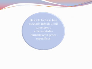 Hasta la fecha se han
asociado más de 4 mil
caracteres y
enfermedades
humanas con genes
específicos
 