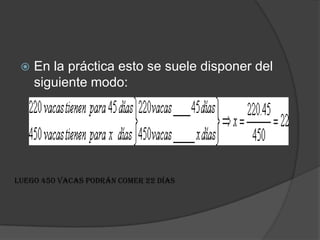 En la práctica esto se suele disponer del siguiente modo:Luego 450 vacas podrán comer 22 días