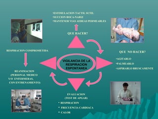 VIGILANCIA DE LA
RESPIRACION
ESPONTANEA
•ESTIMULACION TACTIL SUTIL
•SUCCION BOCA-NARIZ
•MANTENER VIAS AEREAS PERMEABLES
RESPIRACION COMPROMETIDA
REANIMACION
(PERSONAL MEDICO
Y/O ENFERMERAS,
CON ENTRENAMIENTO)
QUE HACER?
EVALUACION
(TEST DE APGAR)
 RESPIRACION
 FRECUENCIA CARDIACA
 CALOR
•AGITARLO
•PALMEARLO
•ASPIRARLO BRUSCAMENTE
QUE NO HACER?
 