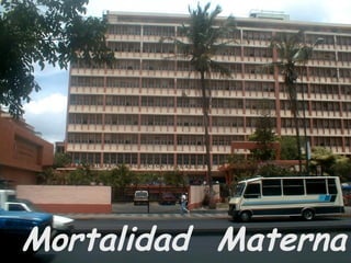 Mortalidad Materna
 