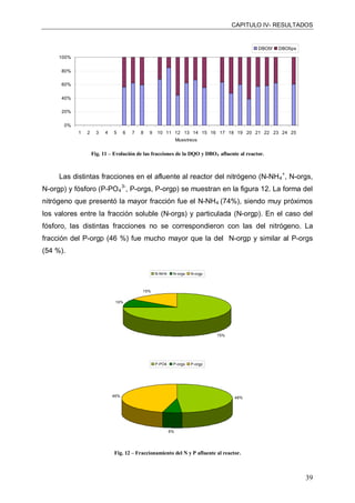2012 - Análisis de las correlaciones entre variables ambientales y biológicas en fangos activos