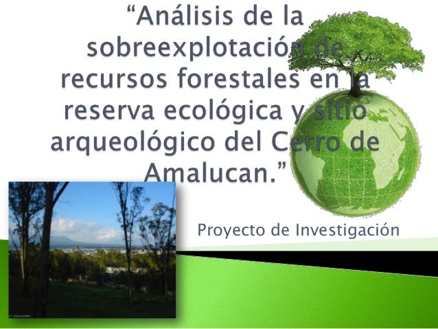 Análisis de la sobreexplotación de recursos forestales