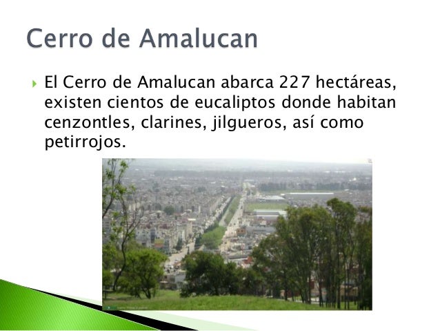 Resultado de imagen para cerro de amalucan