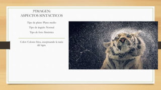 3ªIMAGEN:
ASPECTOS SINTACTICOS
Tipo de plano: Plano medio
Tipo de ángulo: Normal
Tipo de foto: Simétrica
Color: Colores fríos, exceptuando la nariz
del tigre.
 