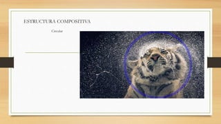 ESTRUCTURA COMPOSITIVA
Circular
 