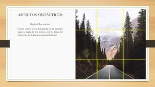 ASPECTOS SINTÁCTICOS
Regla de los tercios:
Como vemos en la fotografía de la derecha
sigue la regla de los tercios, con la línea del
horizonte en la línea horizontal inferior
 