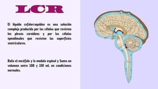 ANÁLISIS DE LCR - BIOQUÍMICA MUESTRAS HUMANAS II.pdf