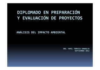 DIPLOMADO EN PREPARACIÓN 
Y EVALUACIÓN DE PROYECTOS

ANÁLISIS DEL IMPACTO AMBIENTAL




                            ING. YAMIL TORRICO SONAGLIA
                                        SEPTIEMBRE 2012
 