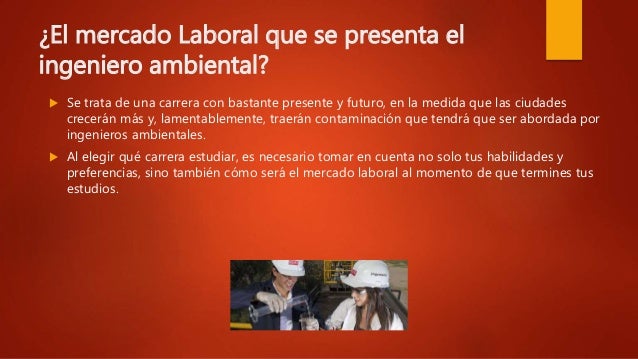 Analisis Del Mercado Laboral De Las Carreras De Ingenieria Ambiental