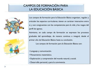 CAMPOS DE FORMACIÓN PARA
LA EDUCACIÓN BÁSICA
Los campos de formación para la Educación Básica organizan, regulan yy
Los campos de formación para la Educación Básica organizan, regulan
articulan los espacios curriculares; tienen un carácter interactivo entre
articulan los espacios curriculares; tienen un carácter interactivo entre
sí, yyson congruentes con las competencias para la vida yylos rasgos del
sí, son congruentes con las competencias para la vida los rasgos del
perfil de egreso.
perfil de egreso.
Asimismo, en cada campo de formación se expresan los procesos
Asimismo, en cada campo de formación se expresan los procesos
graduales del aprendizaje, de manera continua ee integral, desde el
graduales del aprendizaje, de manera continua
integral, desde el
primer año de Educación Básica hasta su conclusión.
primer año de Educación Básica hasta su conclusión.
Los campos de formación para la Educación Básica son:
Los campos de formación para la Educación Básica son:
••Lenguaje yycomunicación.
Lenguaje comunicación.
••Pensamiento matemático.
Pensamiento matemático.
••Exploración yycomprensión del mundo natural yysocial.
Exploración comprensión del mundo natural social.
••Desarrollo personal yypara la convivencia.
Desarrollo personal para la convivencia.

 